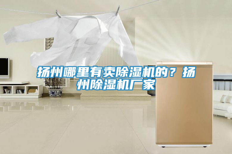 揚州哪里有賣除濕機的？揚州除濕機廠家