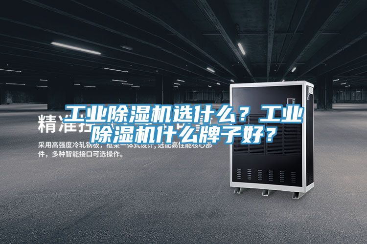 工業除濕機選什么？工業除濕機什么牌子好？