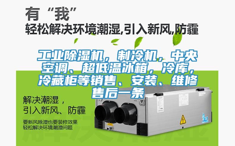 工業除濕機,制冷機,中央空調、超低溫冰箱,冷庫,冷藏柜等銷售、安裝、維修售后一條