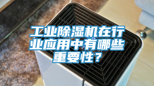 工業除濕機在行業應用中有哪些重要性?