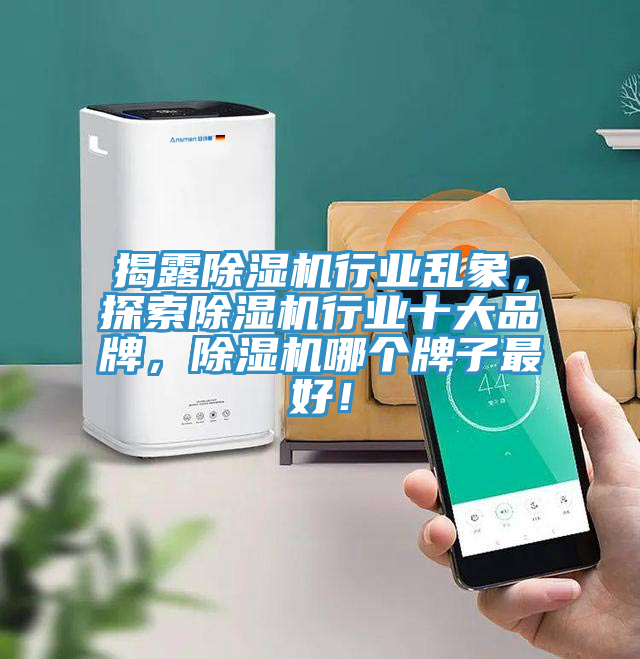 揭露除濕機(jī)行業(yè)亂象，探索除濕機(jī)行業(yè)十大品牌，除濕機(jī)哪個(gè)牌子最好！