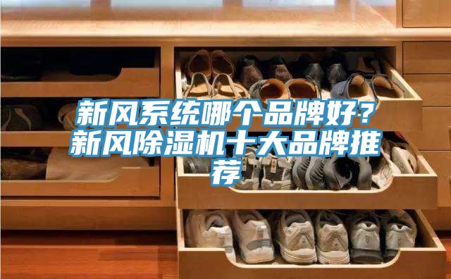 新風系統哪個品牌好?新風除濕機十大品牌推薦