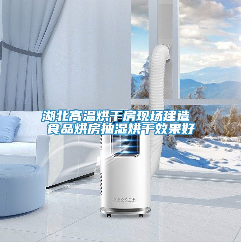 湖北高溫烘干房現場(chǎng)建造 食品烘房抽濕烘干效果好