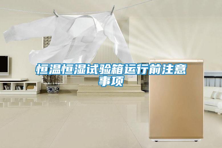 恒溫恒濕試驗箱運(yùn)行前注意事項