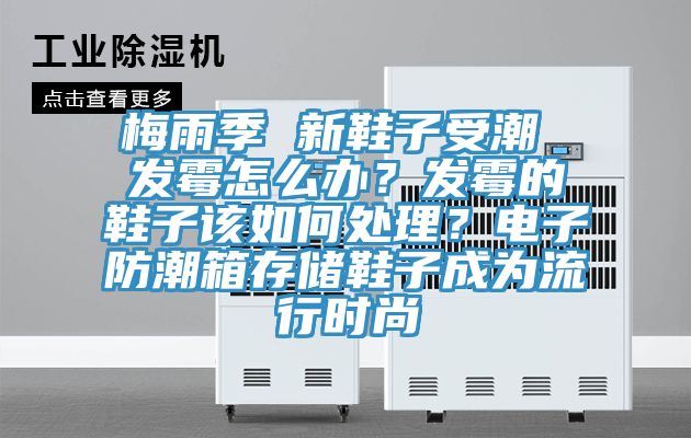 梅雨季 新鞋子受潮 發霉怎么辦?發霉的鞋子該如何處理?電子防潮箱存儲鞋子成為流行時尚