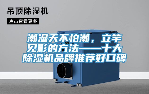 潮濕天不怕潮，立竿見影的方法——十大除濕機品牌推薦好口碑