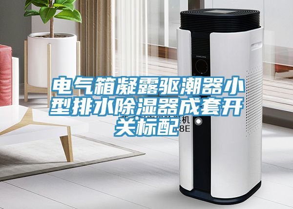電氣箱凝露驅潮器小型排水除濕器成套開關標配