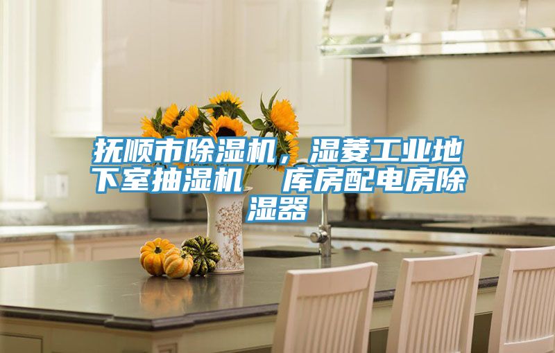 撫順市除濕機(jī),濕菱工業(yè)地下室抽濕機(jī) 庫房配電房除濕器