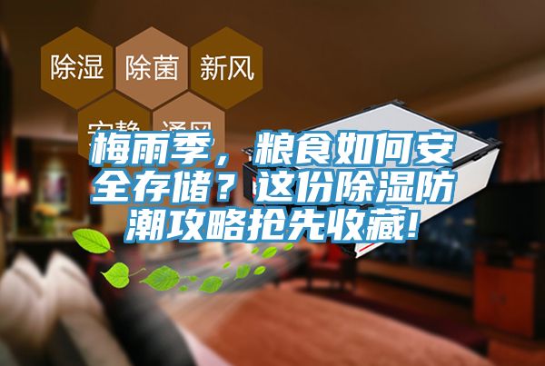梅雨季,糧食如何安全存儲?這份除濕防潮攻略搶先收藏!
