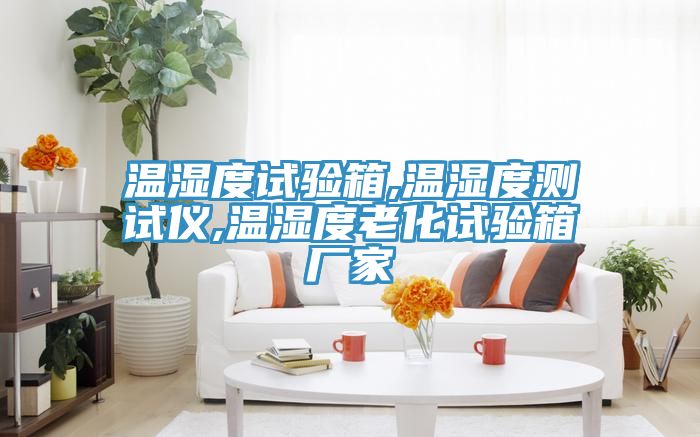 溫濕度試驗箱,溫濕度測試儀,溫濕度老化試驗箱廠(chǎng)家