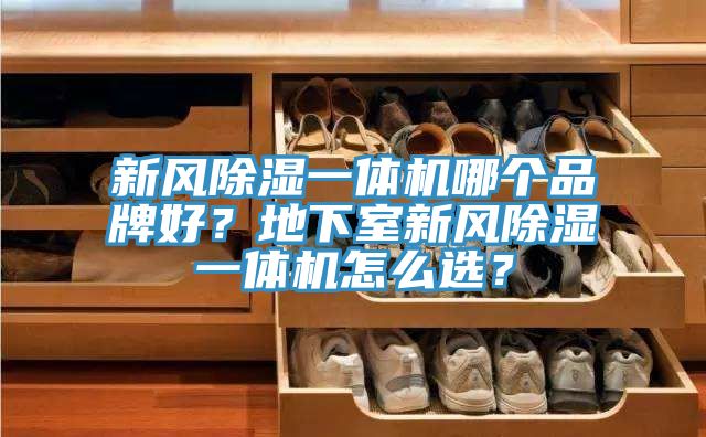 新風除濕一體機哪個品牌好?地下室新風除濕一體機怎么選?