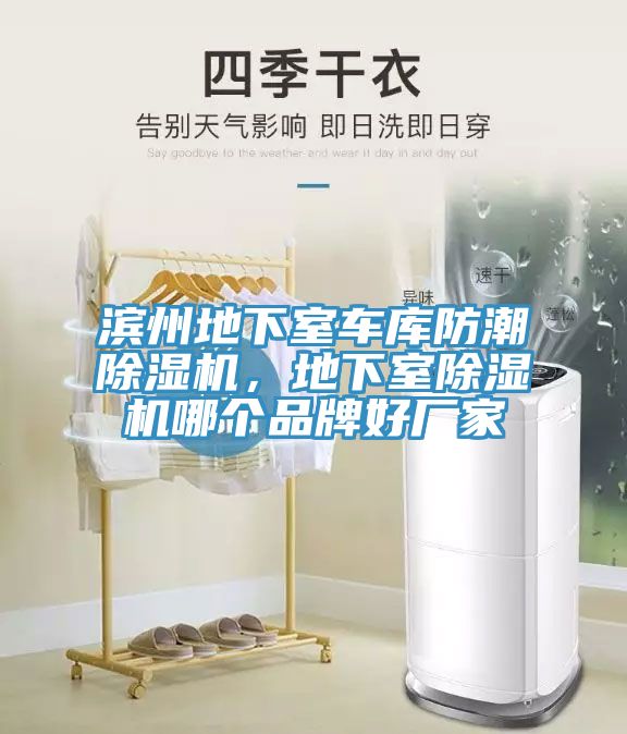 濱州地下室車庫防潮除濕機,地下室除濕機哪個品牌好廠家