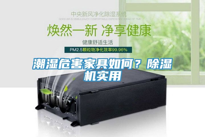 潮濕危害家具如何？除濕機實用