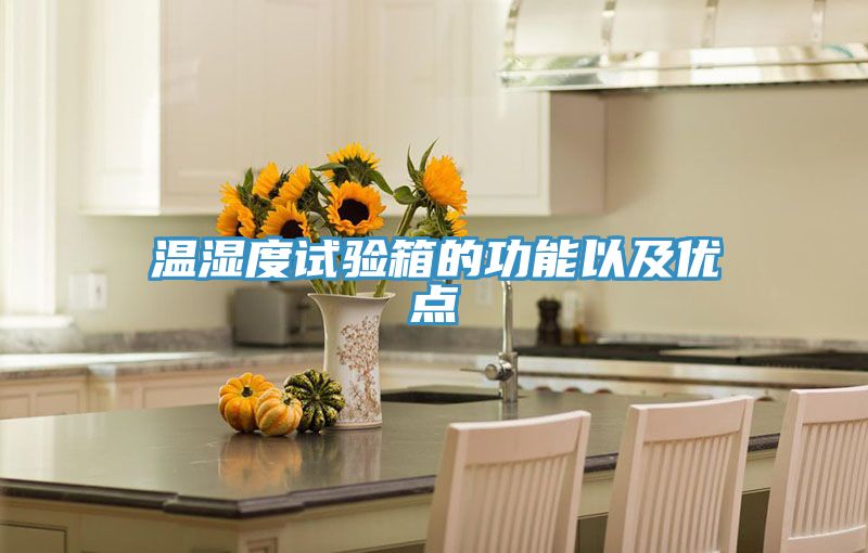 溫濕度試驗箱的功能以及優(yōu)點(diǎn)