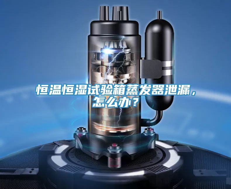 恒溫恒濕試驗箱蒸發器泄漏,怎么辦?