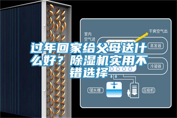 過年回家給父母送什么好？除濕機(jī)實(shí)用不錯(cuò)選擇