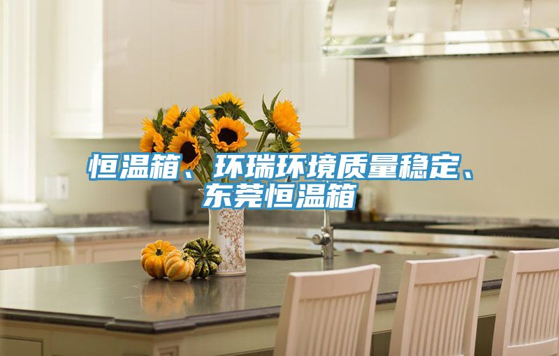 恒溫箱、環瑞環境質量穩定、東莞恒溫箱