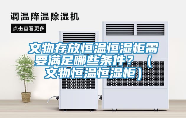 文物存放恒溫恒濕柜需要滿足哪些條件?(文物恒溫恒濕柜)