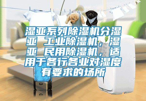 濕亞系列除濕機分濕亞 工業除濕機，濕亞 民用除濕機，適用于各行各業對濕度有要求的場所