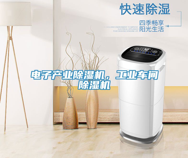 電子產(chǎn)業(yè)除濕機,工業(yè)車間除濕機