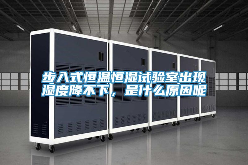 步入式恒溫恒濕試驗(yàn)室出現(xiàn)濕度降不下,是什么原因呢