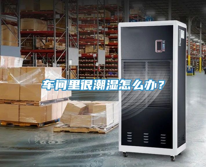 車間里很潮濕怎么辦?