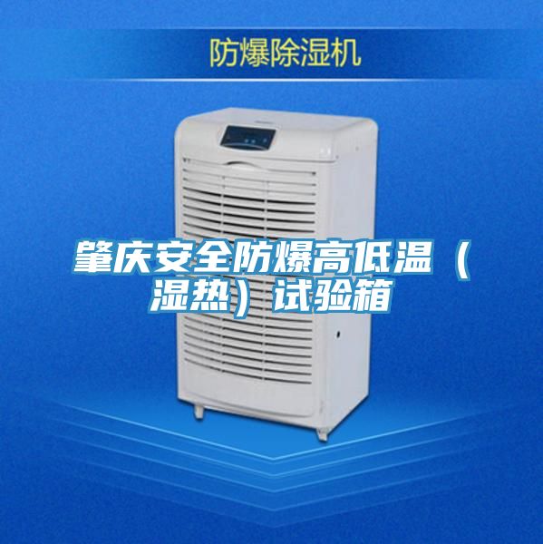 肇慶安全防爆高低溫(濕熱)試驗箱