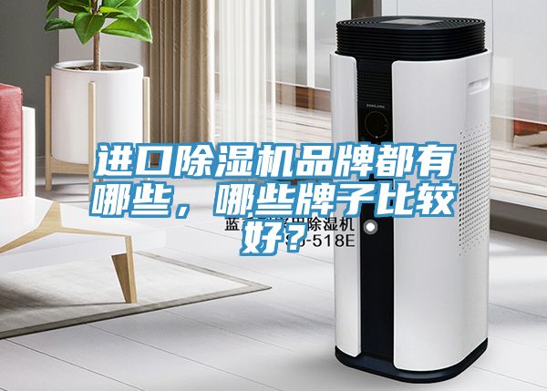 進口除濕機品牌都有哪些，哪些牌子比較好？