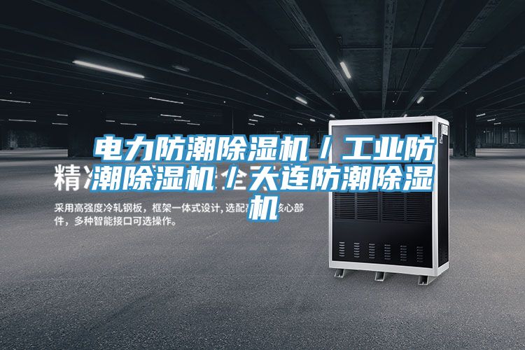 電力防潮除濕機/工業(yè)防潮除濕機/大連防潮除濕機