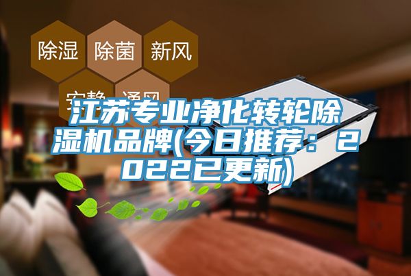 江蘇專業(yè)凈化轉(zhuǎn)輪除濕機品牌(今日推薦:2022已更新)