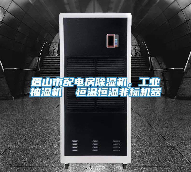 眉山市配電房除濕機,工業抽濕機 恒溫恒濕非標機器