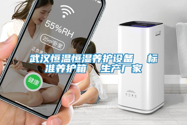 武漢恒溫恒濕養護設備 標準養護箱 生產廠家