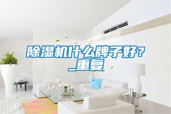 除濕機(jī)什么牌子好？_重復(fù)