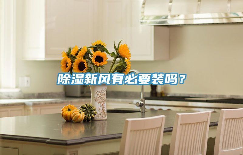 除濕新風(fēng)有必要裝嗎?