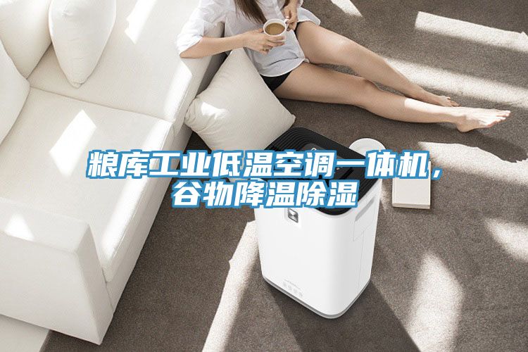 糧庫工業低溫空調一體機,谷物降溫除濕