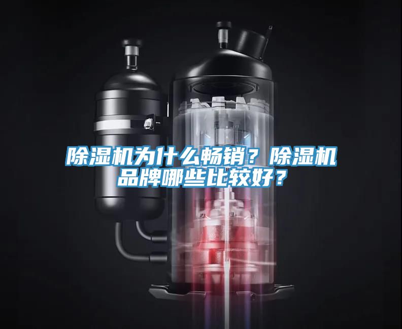除濕機為什么暢銷?除濕機品牌哪些比較好?