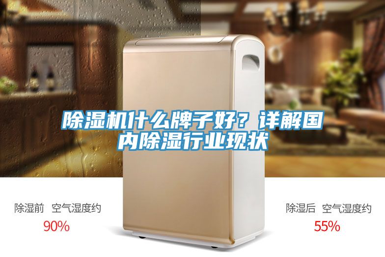除濕機(jī)什么牌子好？詳解國內(nèi)除濕行業(yè)現(xiàn)狀
