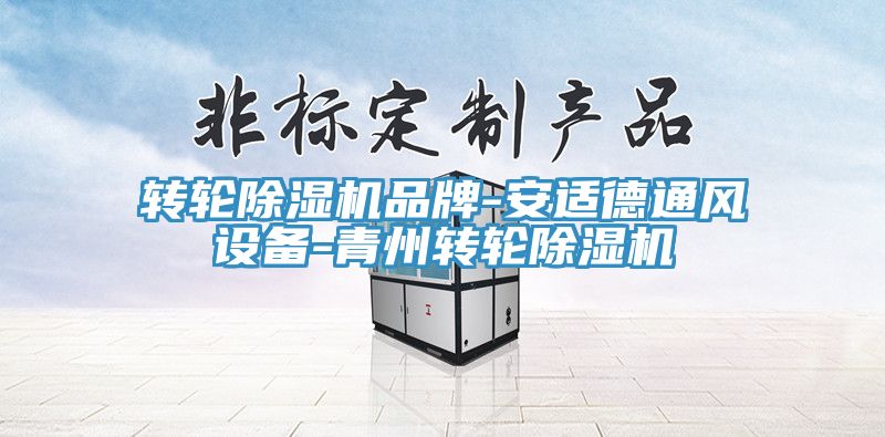 轉(zhuǎn)輪除濕機(jī)品牌-安適德通風(fēng)設(shè)備-青州轉(zhuǎn)輪除濕機(jī)