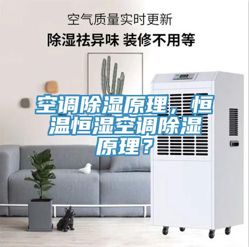 空調除濕原理，恒溫恒濕空調除濕原理？