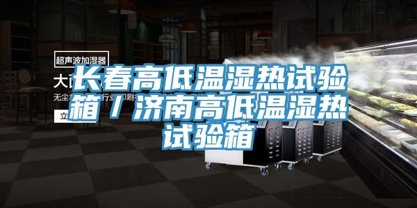 長(zhǎng)春高低溫濕熱試驗(yàn)箱/濟(jì)南高低溫濕熱試驗(yàn)箱