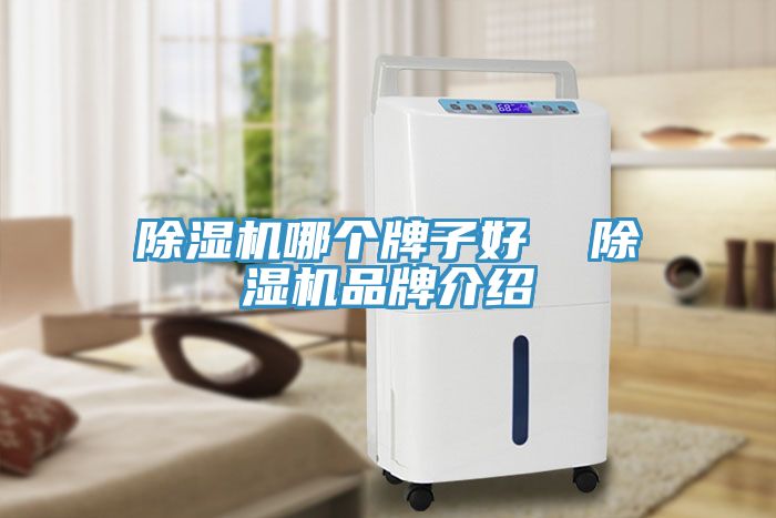 除濕機哪個牌子好 除濕機品牌介紹