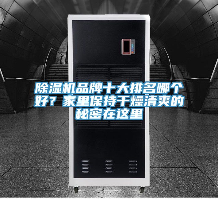 除濕機品牌十大排名哪個好？家里保持干燥清爽的秘密在這里