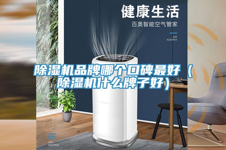 除濕機(jī)品牌哪個口碑最好(除濕機(jī)什么牌子好)
