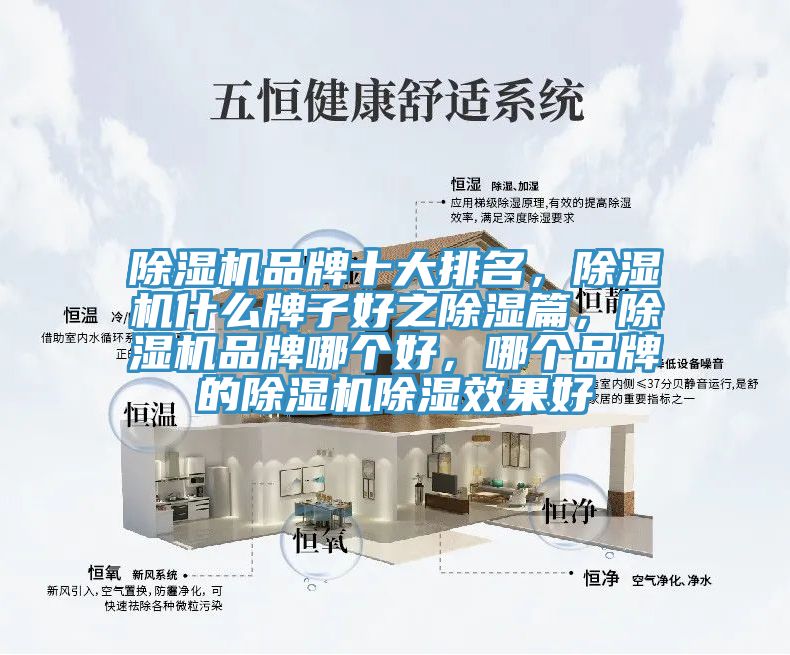 除濕機(jī)品牌十大排名,除濕機(jī)什么牌子好之除濕篇,除濕機(jī)品牌哪個好,哪個品牌的除濕機(jī)除濕效果好
