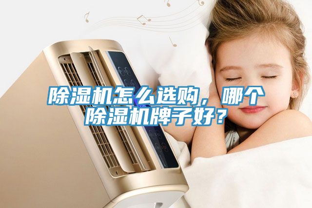 除濕機(jī)怎么選購，哪個除濕機(jī)牌子好？