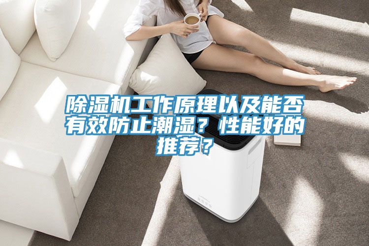 除濕機(jī)工作原理以及能否有效防止潮濕?性能好的推薦?