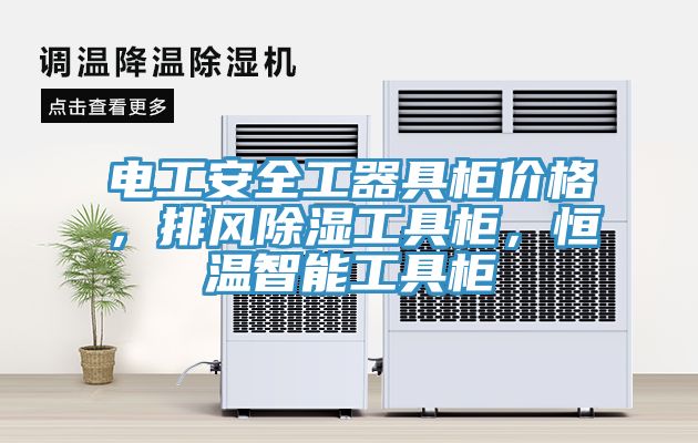 電工安全工器具柜價格，排風(fēng)除濕工具柜，恒溫智能工具柜