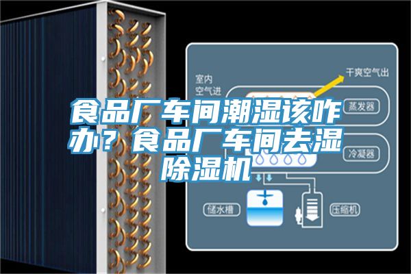 食品廠車(chē)間潮濕該咋辦？食品廠車(chē)間去濕除濕機(jī)