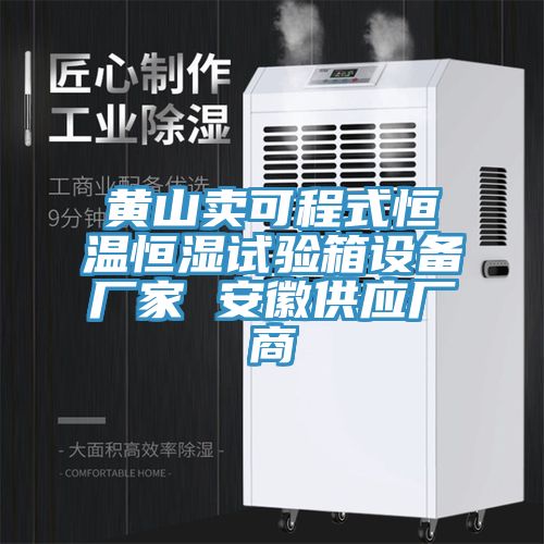 黃山賣(mài)可程式恒溫恒濕試驗箱設備廠(chǎng)家 安徽供應廠(chǎng)商
