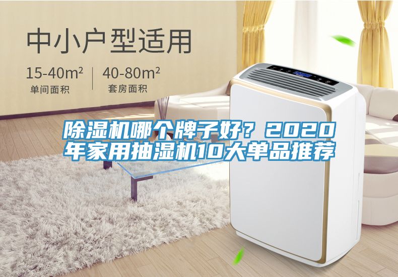 除濕機(jī)哪個牌子好？2020年家用抽濕機(jī)10大單品推薦